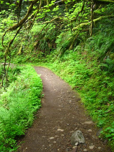 Eagle Creek-141.JPG - Eagle Creek